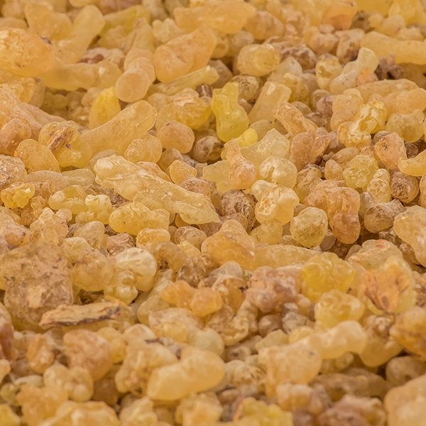Gum olibanum (frankincense) granules